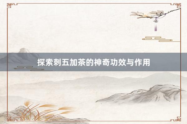 探索刺五加茶的神奇功效与作用